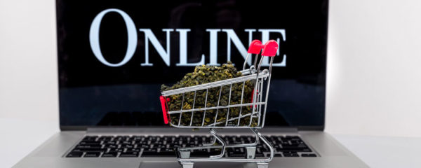 specialiste du CBD